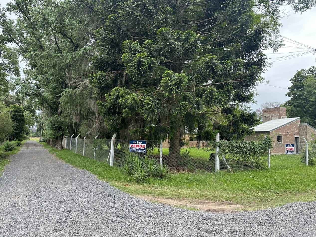 Venta Casa un dormitorio con parque forestado
