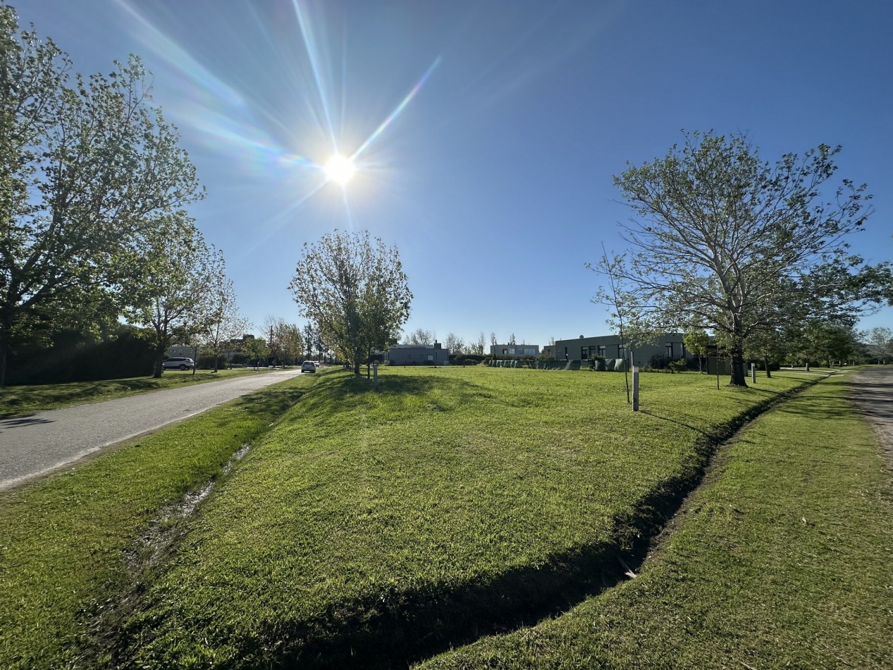 Espectacular lote en Puerto Roldan