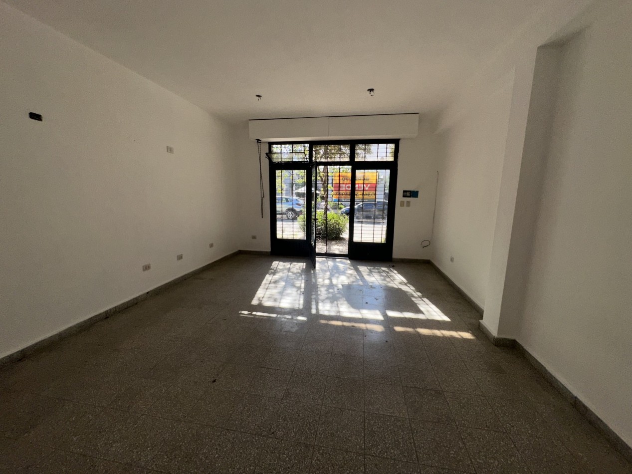 Locales comerciales + galpon en venta