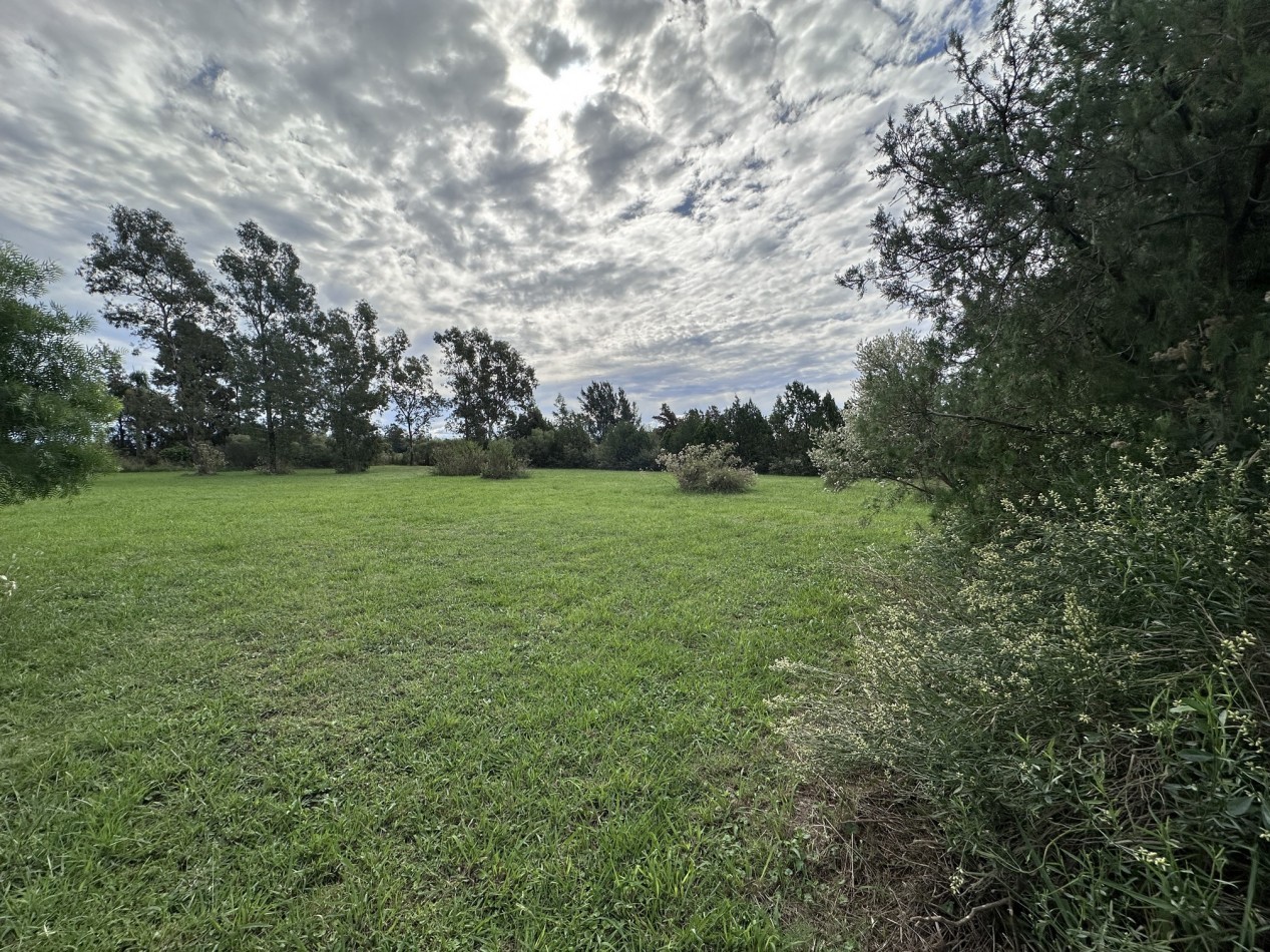 Venta Terreno 4.416 m2 Ideal Constructoras