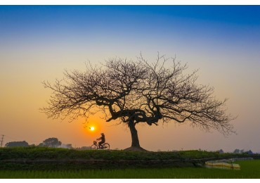 Oportunidad! Venta lote 540 m2 en Vida Green Funes